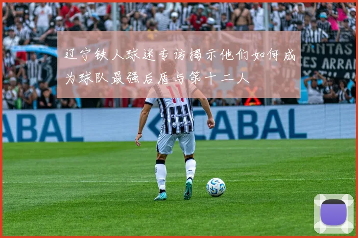 辽宁铁人球迷专访揭示他们如何成为球队最强后盾与第十二人